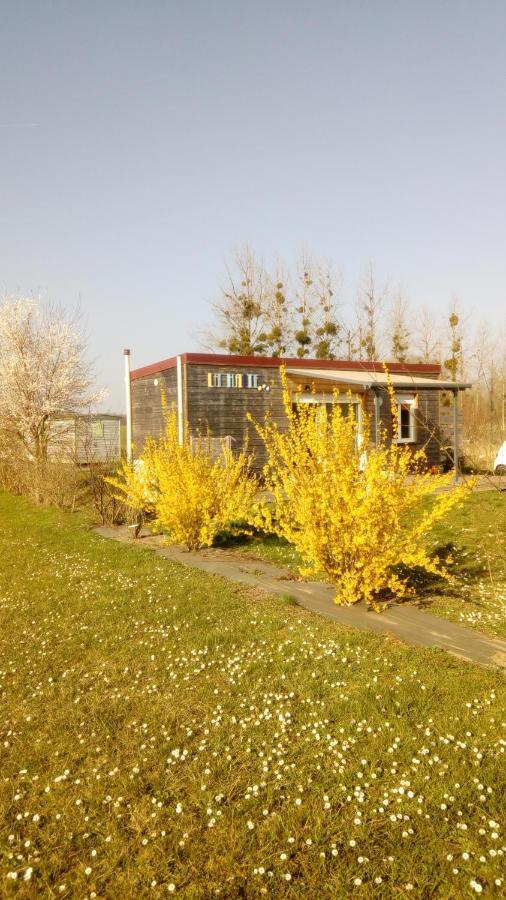 Villa La Halte Villeret Exterior foto